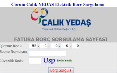 Tedaş online borç sorgulama