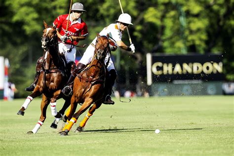 The Sport Of Polo