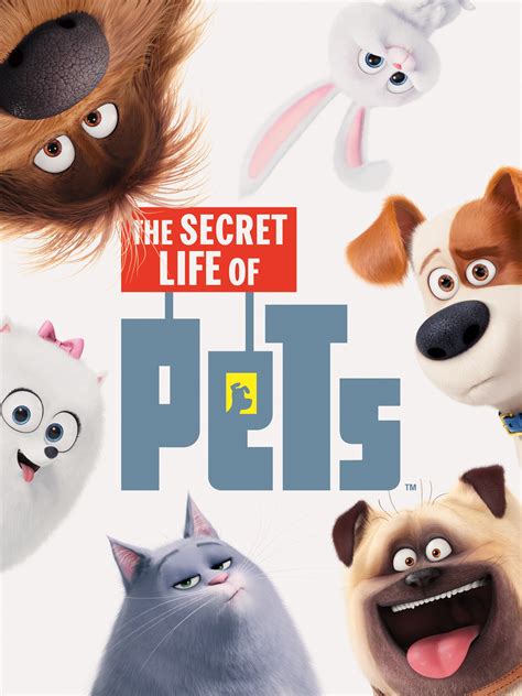 The secret life of pets 1 تحميل فيلم