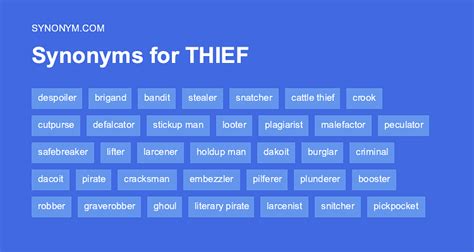 Thieves Synonym
