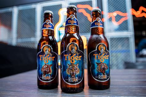 Tiger Beer Barrel Price Malaysia