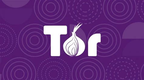 Tor browser تحميل مباشر