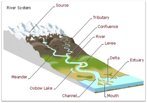 Types Of River Deposition