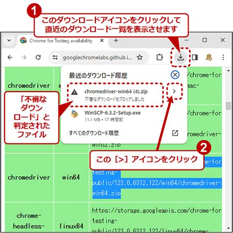 Video downloader for chrome ダウンロードできない