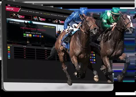 Virtual Horse Racing Betting Game