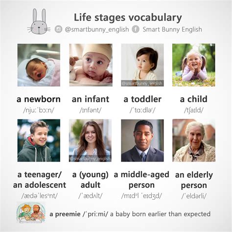 Vocabulary By Age 3