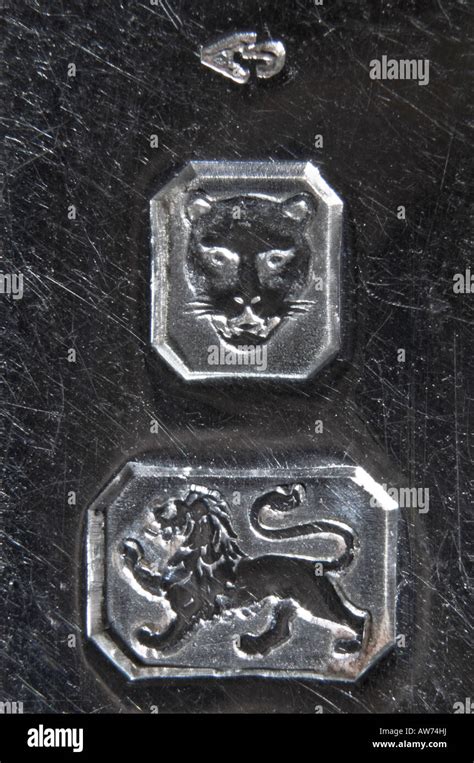 What Does Lion Mean On Silver