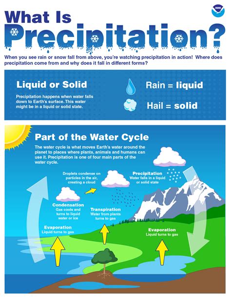 What Happens During Precipitation