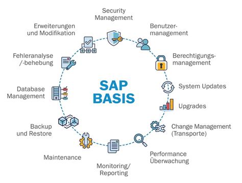 What Is Sap Basis