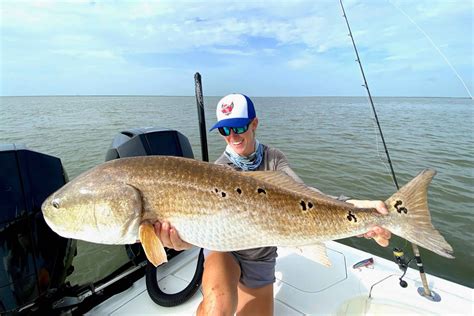 What Size Redfish Can You Keep In Florida