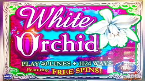 White Orchid Slot Machine App
