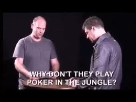 Why Shouldn't You Play Poker In The Jungle