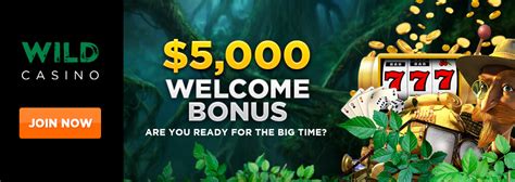 Wild Casino Bonus Codes 2022