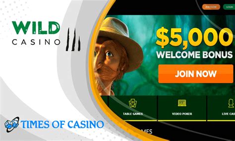 Wild Casino Review 2022