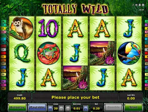 Wild Slots Game