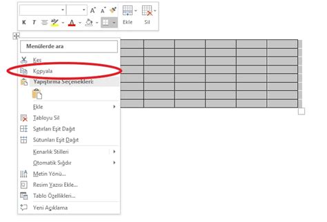 Word den worde tablo kopyalama