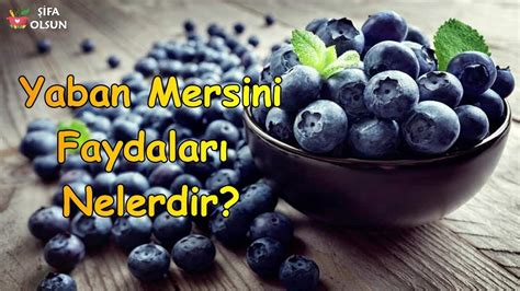 Yaban mersini faydaları