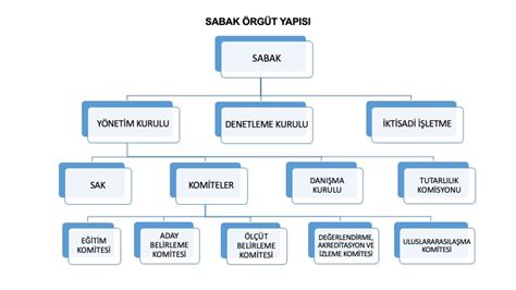 Yalın örgüt yapısı nedir