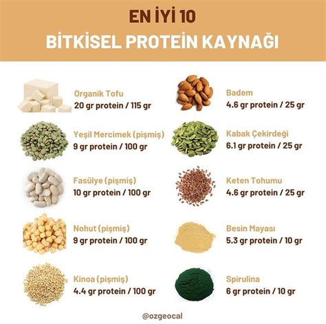 Yiyecekler ve protein değerleri
