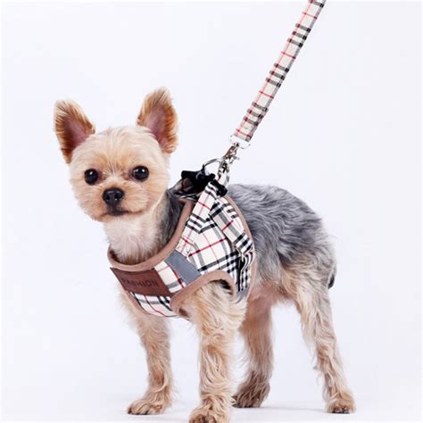 Yorkshire Terrier üçün rulet leashes