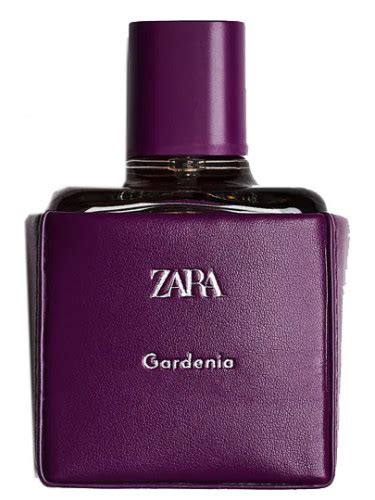 Zara gardenia ekşi