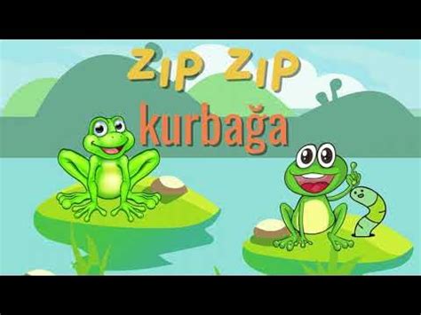 Zip zip kurbağa