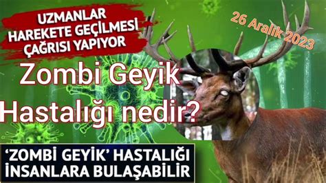 Zombi hastalığı var mı